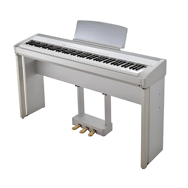 Music City – Tổng Kho Piano, Guitar, Organ | Dịch Vụ Giáo Dục Âm Nhạc