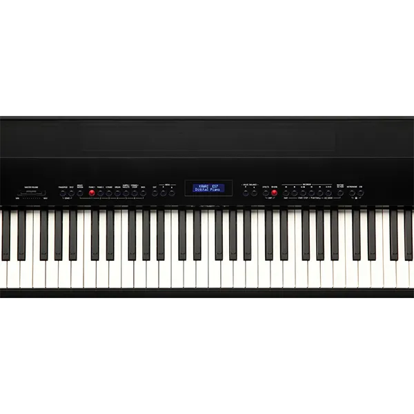 Music City – Tổng Kho Piano, Guitar, Organ | Dịch Vụ Giáo Dục Âm Nhạc