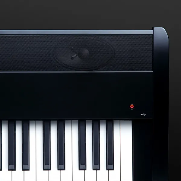 Music City – Tổng Kho Piano, Guitar, Organ | Dịch Vụ Giáo Dục Âm Nhạc