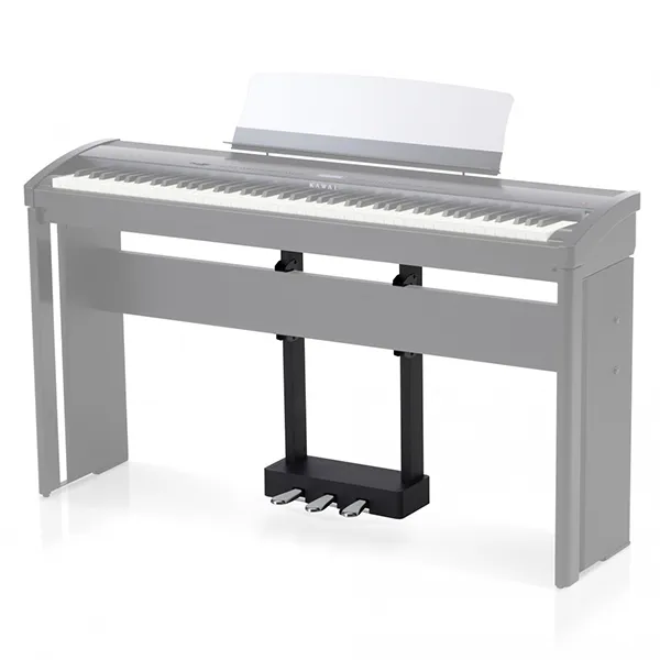 Music City – Tổng Kho Piano, Guitar, Organ | Dịch Vụ Giáo Dục Âm Nhạc