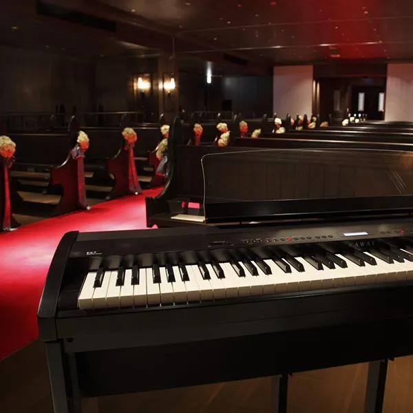 Music City – Tổng Kho Piano, Guitar, Organ | Dịch Vụ Giáo Dục Âm Nhạc
