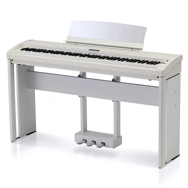 Music City – Tổng Kho Piano, Guitar, Organ | Dịch Vụ Giáo Dục Âm Nhạc