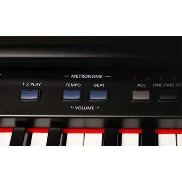 Music City – Tổng Kho Piano, Guitar, Organ | Dịch Vụ Giáo Dục Âm Nhạc