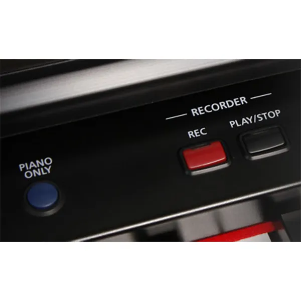 Music City – Tổng Kho Piano, Guitar, Organ | Dịch Vụ Giáo Dục Âm Nhạc