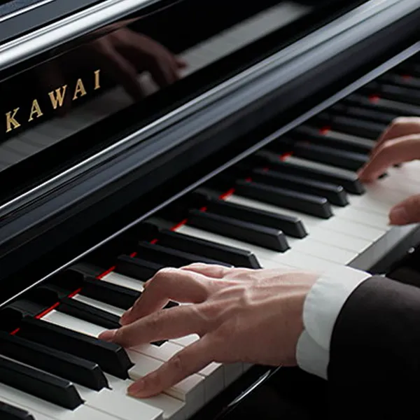 Music City – Tổng Kho Piano, Guitar, Organ | Dịch Vụ Giáo Dục Âm Nhạc