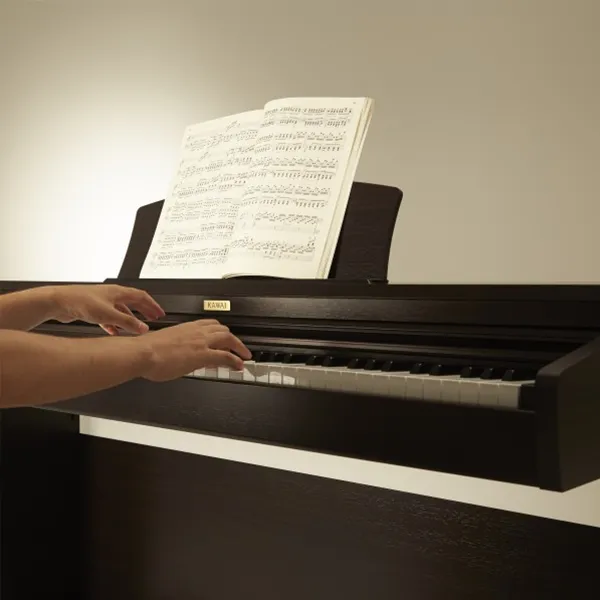 Music City – Tổng Kho Piano, Guitar, Organ | Dịch Vụ Giáo Dục Âm Nhạc