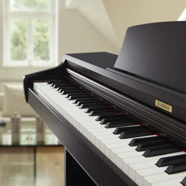 Music City – Tổng Kho Piano, Guitar, Organ | Dịch Vụ Giáo Dục Âm Nhạc