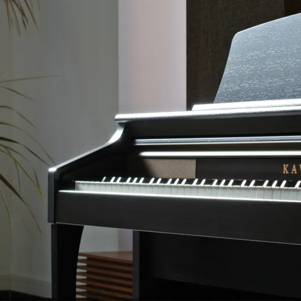 Music City – Tổng Kho Piano, Guitar, Organ | Dịch Vụ Giáo Dục Âm Nhạc