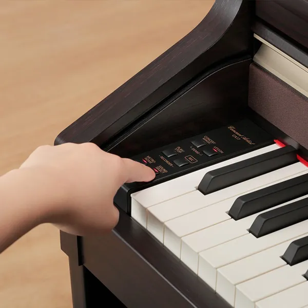 Music City – Tổng Kho Piano, Guitar, Organ | Dịch Vụ Giáo Dục Âm Nhạc