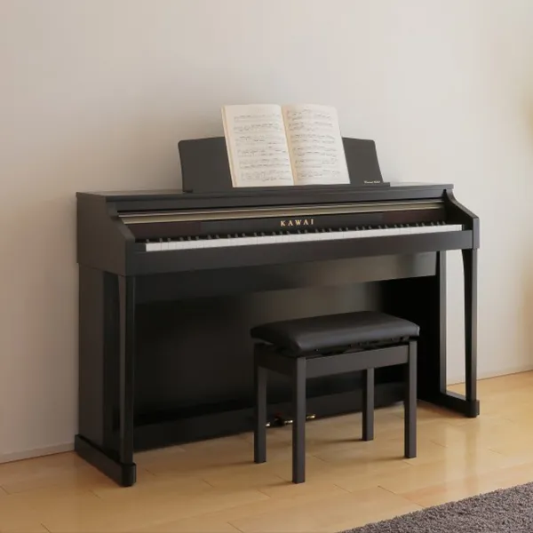 Music City – Tổng Kho Piano, Guitar, Organ | Dịch Vụ Giáo Dục Âm Nhạc