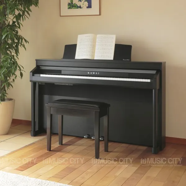 Music City – Tổng Kho Piano, Guitar, Organ | Dịch Vụ Giáo Dục Âm Nhạc