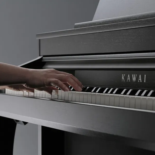 Music City – Tổng Kho Piano, Guitar, Organ | Dịch Vụ Giáo Dục Âm Nhạc