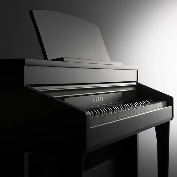 Music City – Tổng Kho Piano, Guitar, Organ | Dịch Vụ Giáo Dục Âm Nhạc
