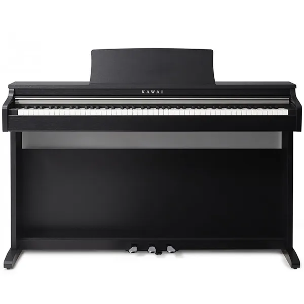Music City – Tổng Kho Piano, Guitar, Organ | Dịch Vụ Giáo Dục Âm Nhạc