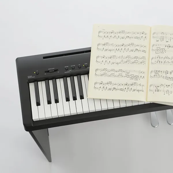 Music City – Tổng Kho Piano, Guitar, Organ | Dịch Vụ Giáo Dục Âm Nhạc