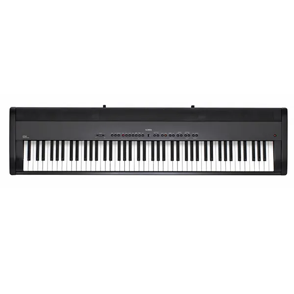 Music City – Tổng Kho Piano, Guitar, Organ | Dịch Vụ Giáo Dục Âm Nhạc