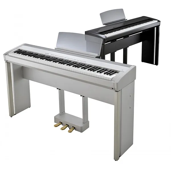 Music City – Tổng Kho Piano, Guitar, Organ | Dịch Vụ Giáo Dục Âm Nhạc
