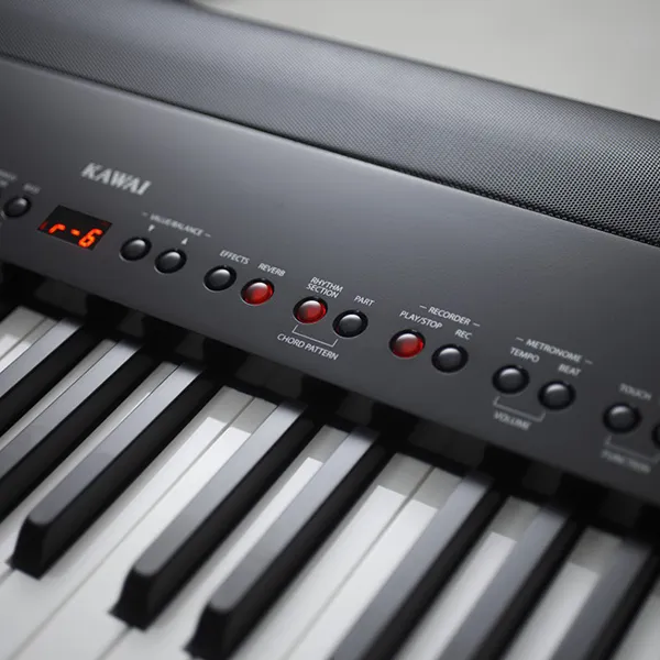 Music City – Tổng Kho Piano, Guitar, Organ | Dịch Vụ Giáo Dục Âm Nhạc
