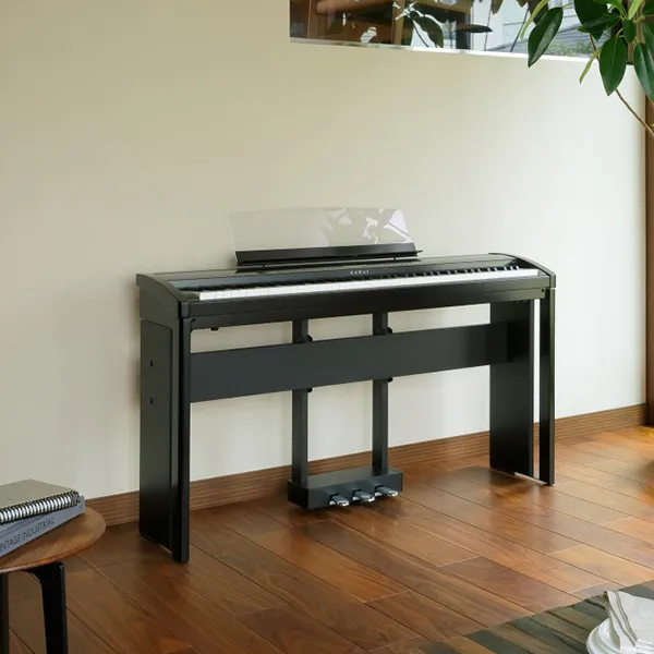Music City – Tổng Kho Piano, Guitar, Organ | Dịch Vụ Giáo Dục Âm Nhạc