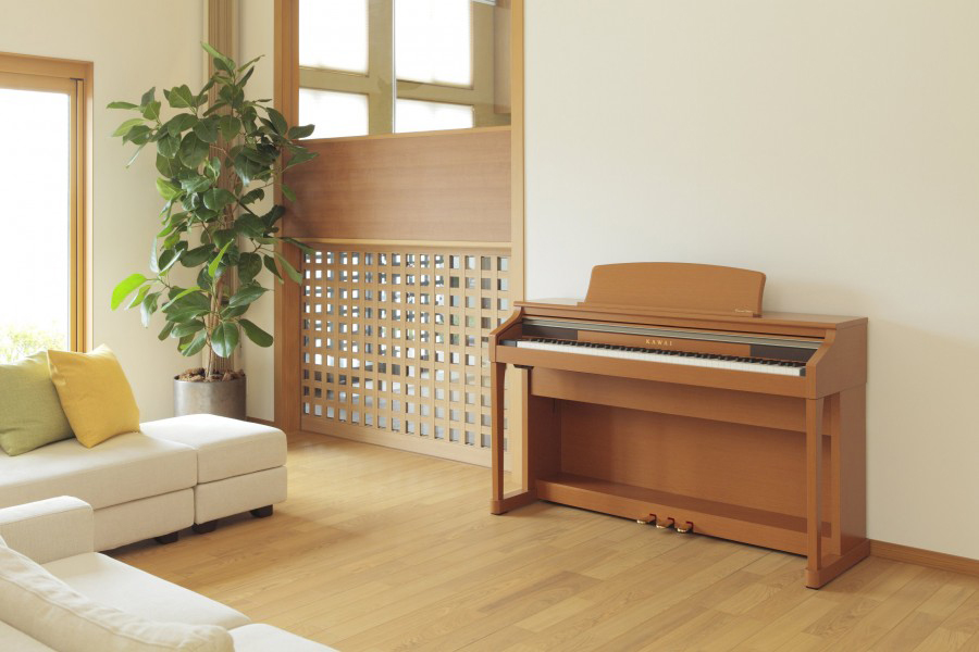 Music City – Tổng Kho Piano, Guitar, Organ | Dịch Vụ Giáo Dục Âm Nhạc