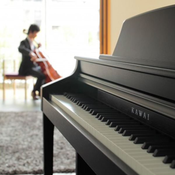 Music City – Tổng Kho Piano, Guitar, Organ | Dịch Vụ Giáo Dục Âm Nhạc