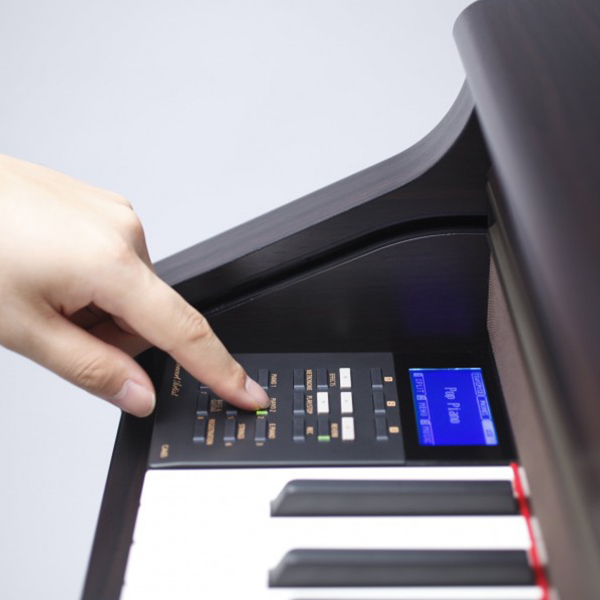 Music City – Tổng Kho Piano, Guitar, Organ | Dịch Vụ Giáo Dục Âm Nhạc