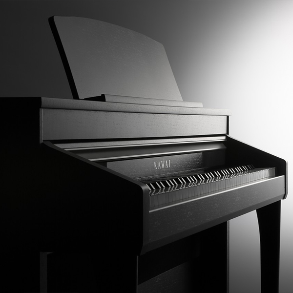 Music City – Tổng Kho Piano, Guitar, Organ | Dịch Vụ Giáo Dục Âm Nhạc