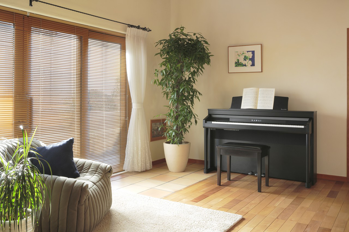 Music City – Tổng Kho Piano, Guitar, Organ | Dịch Vụ Giáo Dục Âm Nhạc