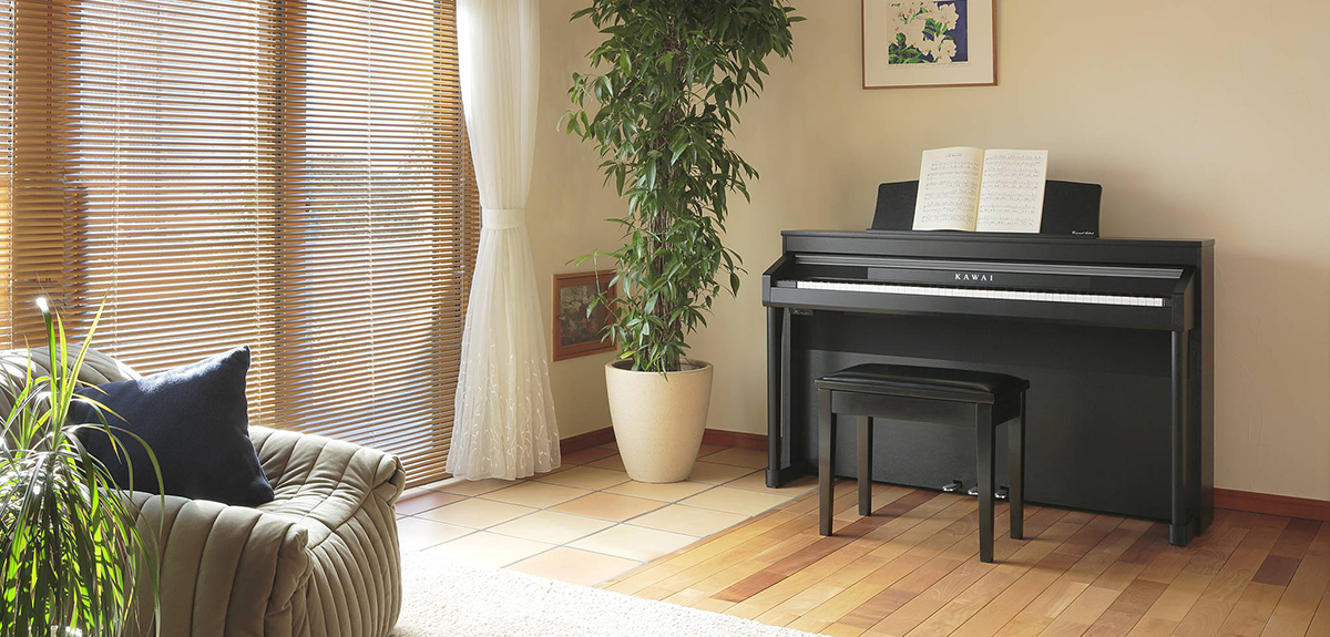 Music City – Tổng Kho Piano, Guitar, Organ | Dịch Vụ Giáo Dục Âm Nhạc