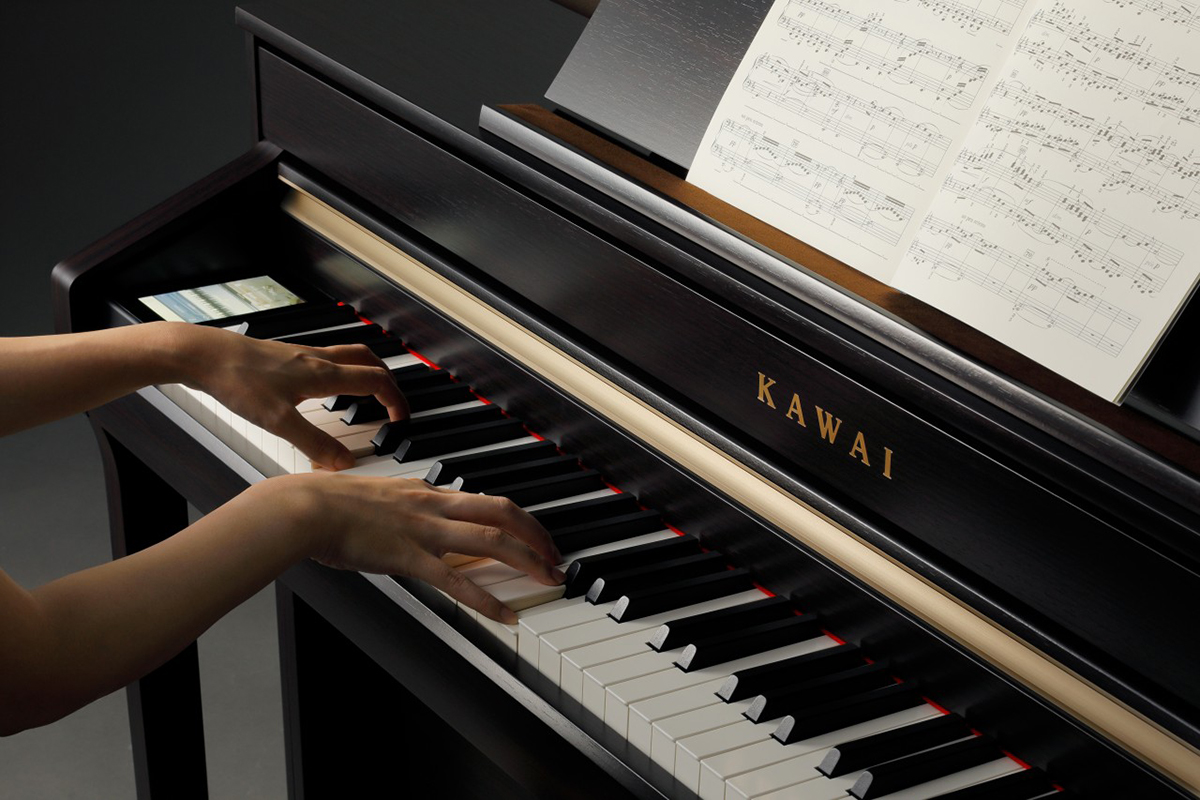 Music City – Tổng Kho Piano, Guitar, Organ | Dịch Vụ Giáo Dục Âm Nhạc