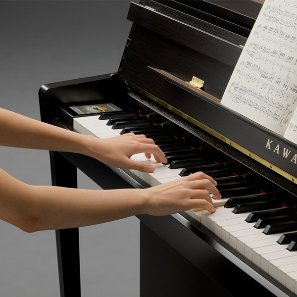 Music City – Tổng Kho Piano, Guitar, Organ | Dịch Vụ Giáo Dục Âm Nhạc
