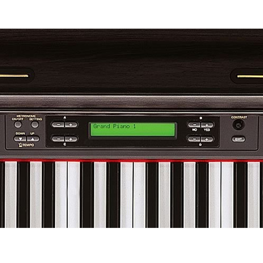 Music City – Tổng Kho Piano, Guitar, Organ | Dịch Vụ Giáo Dục Âm Nhạc