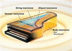 Music City – Tổng Kho Piano, Guitar, Organ | Dịch Vụ Giáo Dục Âm Nhạc