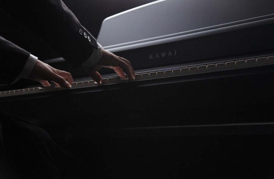 Music City – Tổng Kho Piano, Guitar, Organ | Dịch Vụ Giáo Dục Âm Nhạc