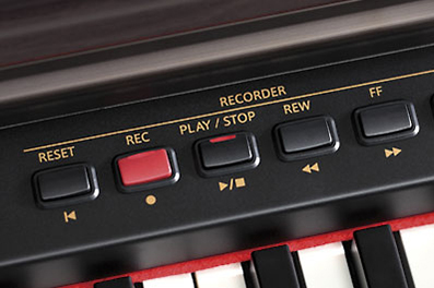 Music City – Tổng Kho Piano, Guitar, Organ | Dịch Vụ Giáo Dục Âm Nhạc