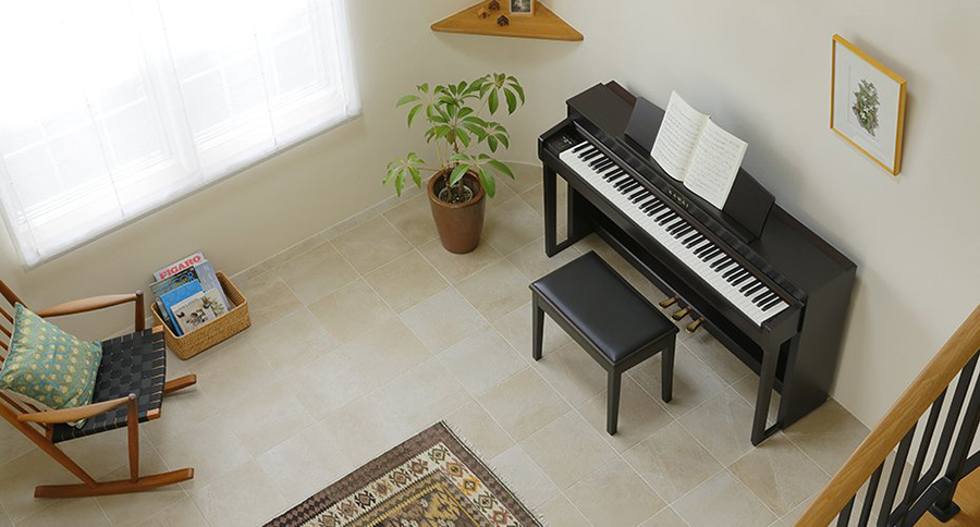 Music City – Tổng Kho Piano, Guitar, Organ | Dịch Vụ Giáo Dục Âm Nhạc