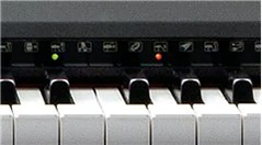 Music City – Tổng Kho Piano, Guitar, Organ | Dịch Vụ Giáo Dục Âm Nhạc