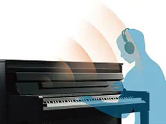 Music City – Tổng Kho Piano, Guitar, Organ | Dịch Vụ Giáo Dục Âm Nhạc