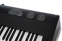 Music City – Tổng Kho Piano, Guitar, Organ | Dịch Vụ Giáo Dục Âm Nhạc