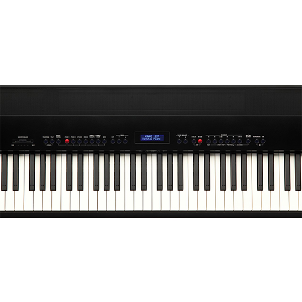 Music City – Tổng Kho Piano, Guitar, Organ | Dịch Vụ Giáo Dục Âm Nhạc
