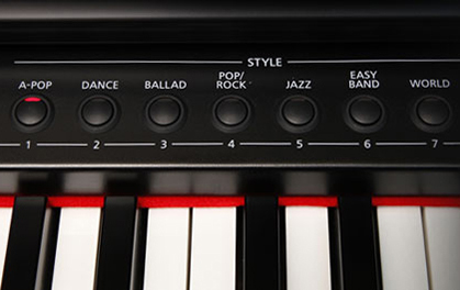 Music City – Tổng Kho Piano, Guitar, Organ | Dịch Vụ Giáo Dục Âm Nhạc