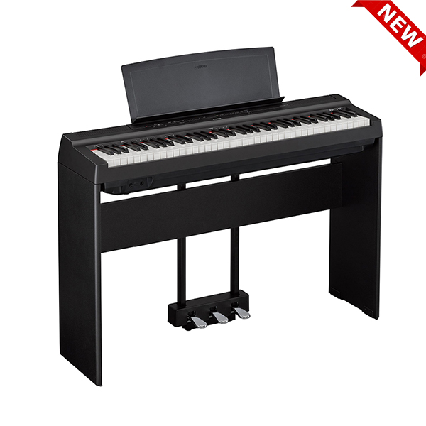 Music City – Tổng Kho Piano, Guitar, Organ | Dịch Vụ Giáo Dục Âm Nhạc