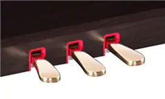 Music City – Tổng Kho Piano, Guitar, Organ | Dịch Vụ Giáo Dục Âm Nhạc