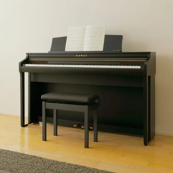 Music City – Tổng Kho Piano, Guitar, Organ | Dịch Vụ Giáo Dục Âm Nhạc