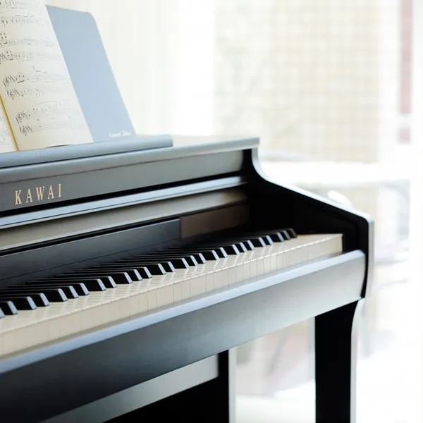 Music City – Tổng Kho Piano, Guitar, Organ | Dịch Vụ Giáo Dục Âm Nhạc