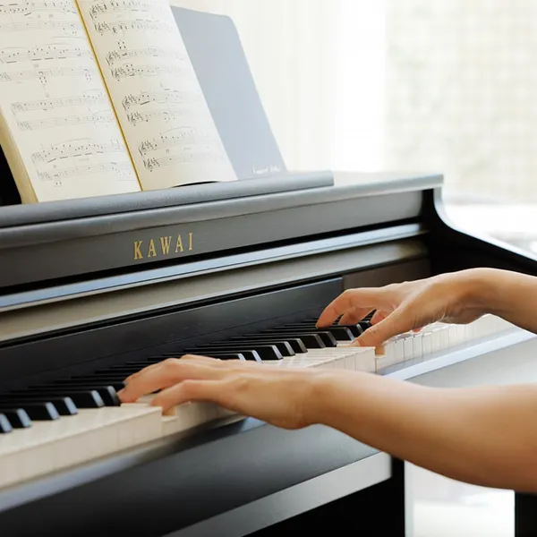 Music City – Tổng Kho Piano, Guitar, Organ | Dịch Vụ Giáo Dục Âm Nhạc