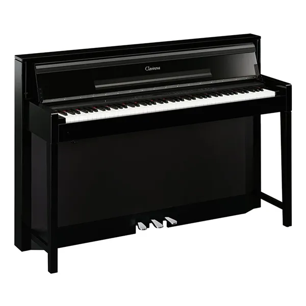 Music City – Tổng Kho Piano, Guitar, Organ | Dịch Vụ Giáo Dục Âm Nhạc