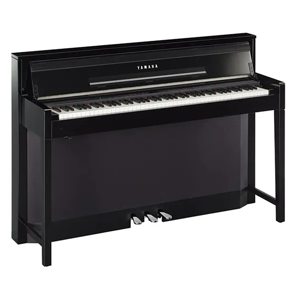 Music City – Tổng Kho Piano, Guitar, Organ | Dịch Vụ Giáo Dục Âm Nhạc