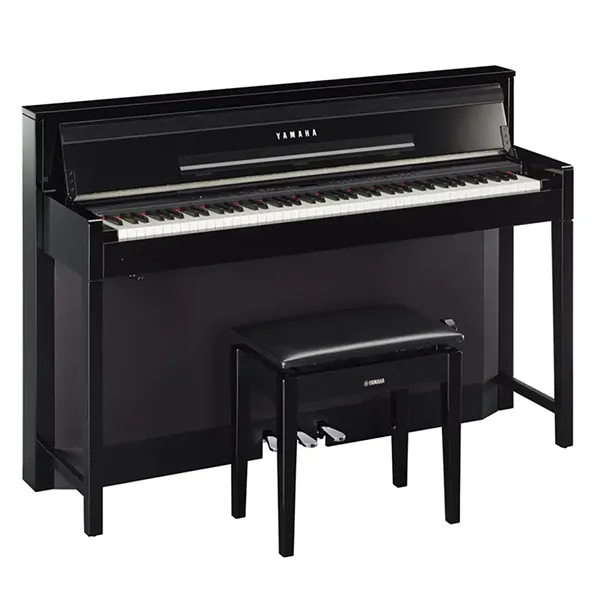 Music City – Tổng Kho Piano, Guitar, Organ | Dịch Vụ Giáo Dục Âm Nhạc