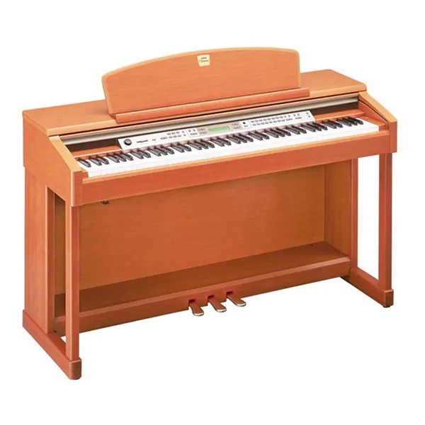 Music City – Tổng Kho Piano, Guitar, Organ | Dịch Vụ Giáo Dục Âm Nhạc